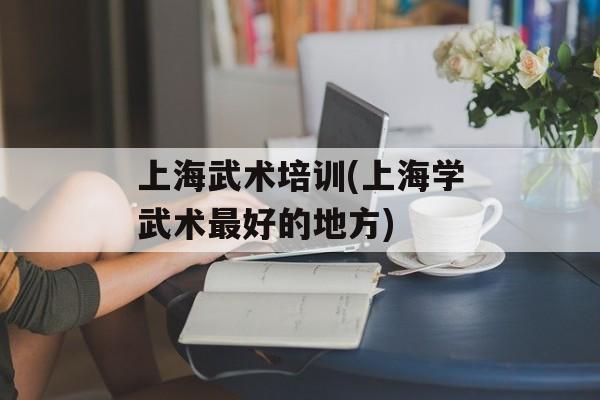 上海武术培训(上海学武术最好的地方)-第1张图片-