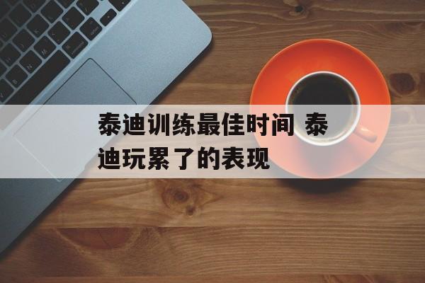 泰迪训练最佳时间 泰迪玩累了的表现-第1张图片-