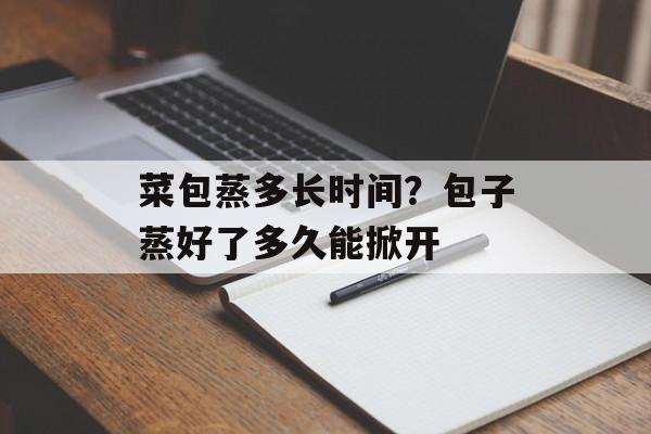 菜包蒸多长时间？包子蒸好了多久能掀开-第1张图片-