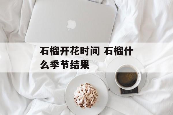 石榴开花时间 石榴什么季节结果-第1张图片-