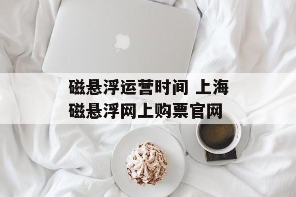磁悬浮运营时间 上海磁悬浮网上购票官网-第1张图片-