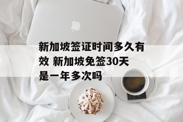 新加坡签证时间多久有效 新加坡免签30天是一年多次吗-第1张图片-