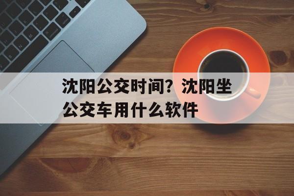 沈阳公交时间？沈阳坐公交车用什么软件-第1张图片-
