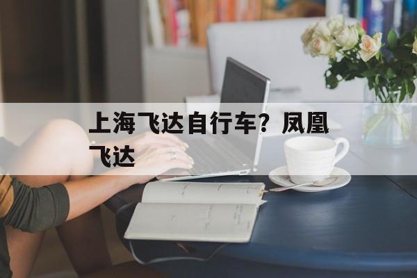 上海飞达自行车？凤凰飞达-第1张图片-