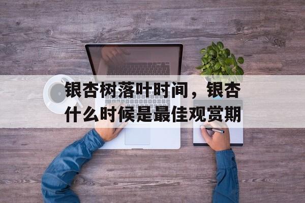 银杏树落叶时间，银杏什么时候是最佳观赏期-第1张图片-