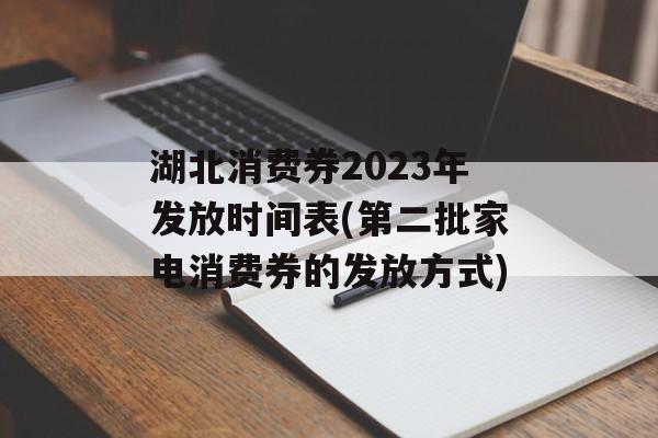 湖北消费券2023年发放时间表(第二批家电消费券的发放方式)-第1张图片-