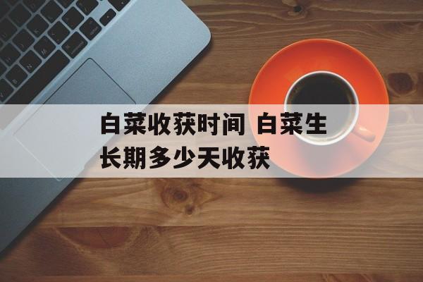 白菜收获时间 白菜生长期多少天收获-第1张图片-