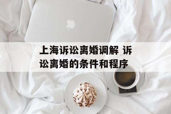 上海诉讼离婚调解 诉讼离婚的条件和程序-第1张图片-
