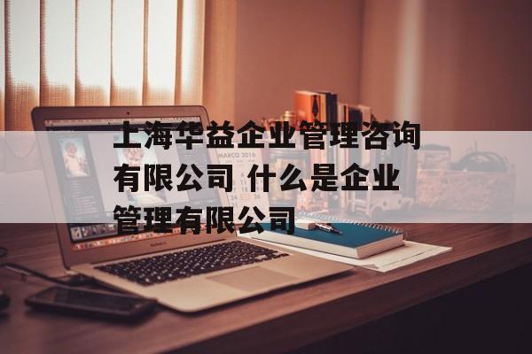 上海华益企业管理咨询有限公司 什么是企业管理有限公司-第1张图片-