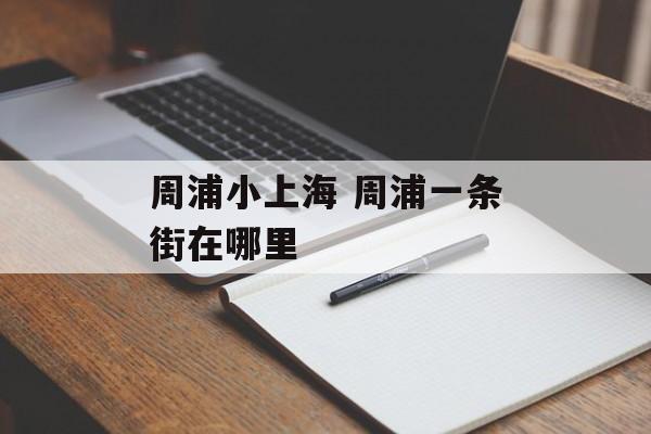 周浦小上海 周浦一条街在哪里-第1张图片-