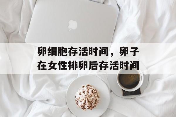 卵细胞存活时间，卵子在女性排卵后存活时间-第1张图片-