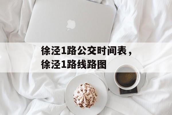 徐泾1路公交时间表，徐泾1路线路图-第1张图片-