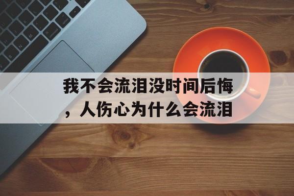 我不会流泪没时间后悔，人伤心为什么会流泪-第1张图片-