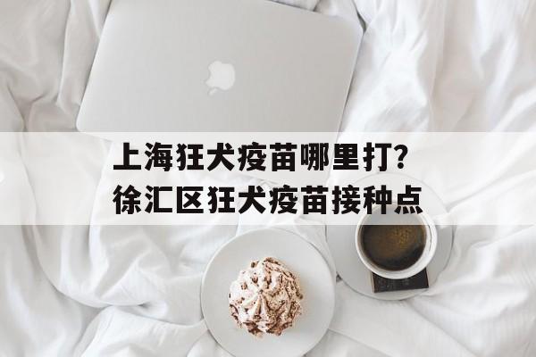 上海狂犬疫苗哪里打？徐汇区狂犬疫苗接种点-第1张图片-