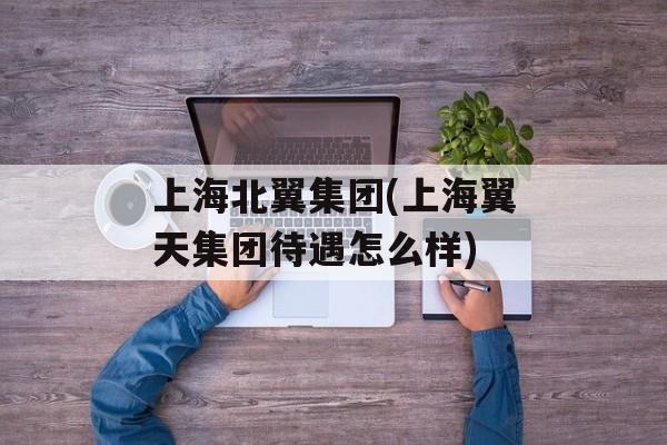 上海北翼集团(上海翼天集团待遇怎么样)-第1张图片-
