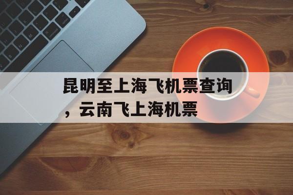 昆明至上海飞机票查询，云南飞上海机票-第1张图片-