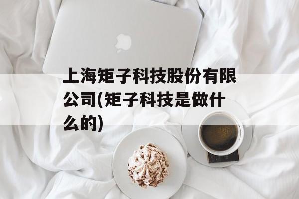 上海矩子科技股份有限公司(矩子科技是做什么的)-第1张图片-
