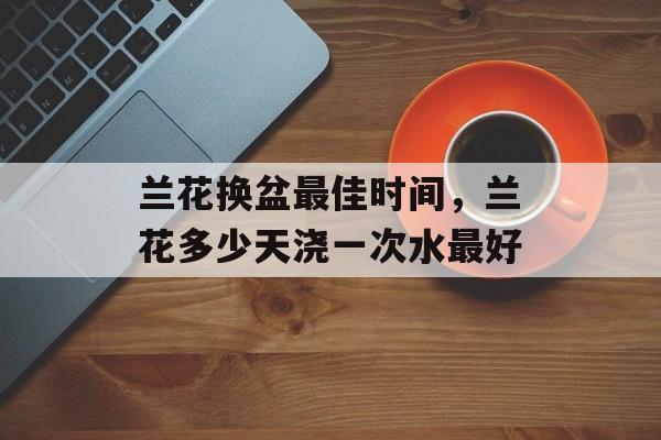 兰花换盆最佳时间，兰花多少天浇一次水最好-第1张图片-