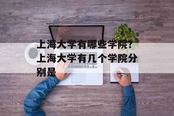 上海大学有哪些学院？上海大学有几个学院分别是-第1张图片-