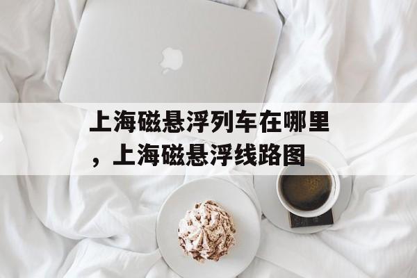 上海磁悬浮列车在哪里，上海磁悬浮线路图-第1张图片-