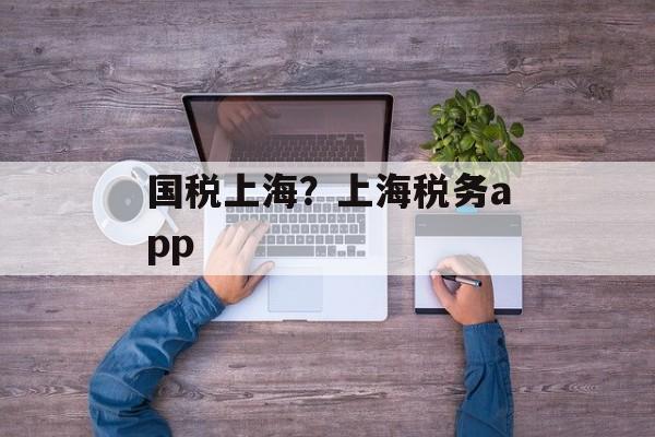 国税上海？上海税务app-第1张图片-