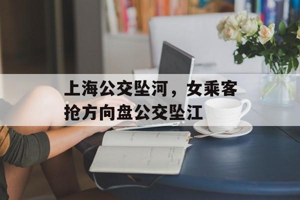 上海公交坠河，女乘客抢方向盘公交坠江-第1张图片-