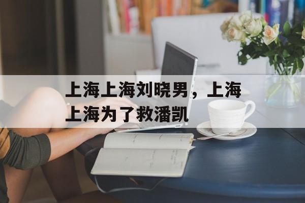 上海上海刘晓男，上海上海为了救潘凯-第1张图片-