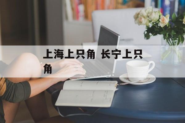 上海上只角 长宁上只角-第1张图片-