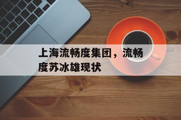 上海流畅度集团，流畅度苏冰雄现状-第1张图片-