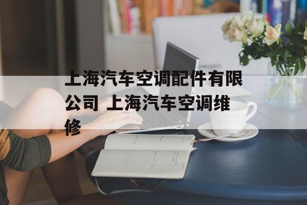 上海汽车空调配件有限公司 上海汽车空调维修-第1张图片-