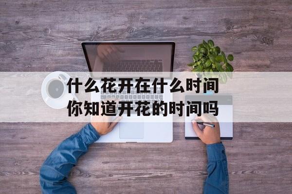 什么花开在什么时间 你知道开花的时间吗-第1张图片-