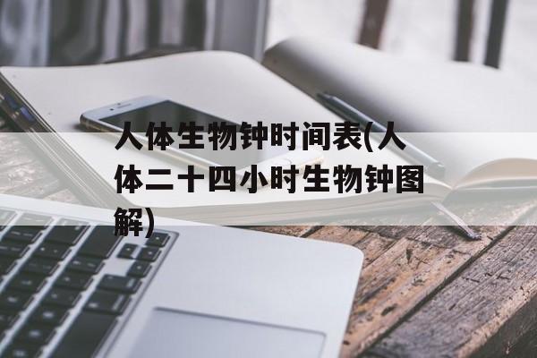 人体生物钟时间表(人体二十四小时生物钟图解)-第1张图片-