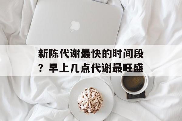新陈代谢最快的时间段？早上几点代谢最旺盛-第1张图片-