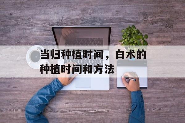 当归种植时间，白术的种植时间和方法-第1张图片-