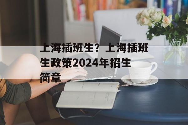 上海插班生？上海插班生政策2024年招生简章-第1张图片-