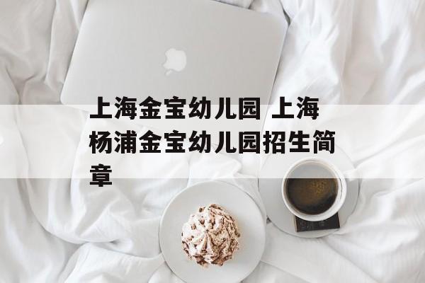 上海金宝幼儿园 上海杨浦金宝幼儿园招生简章-第1张图片-