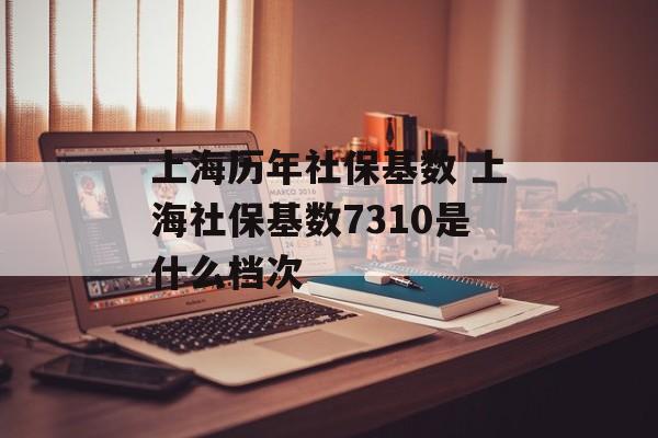 上海历年社保基数 上海社保基数7310是什么档次-第1张图片-