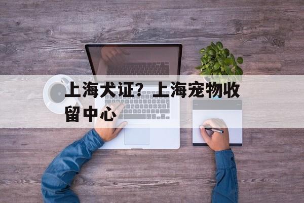 上海犬证？上海宠物收留中心-第1张图片-
