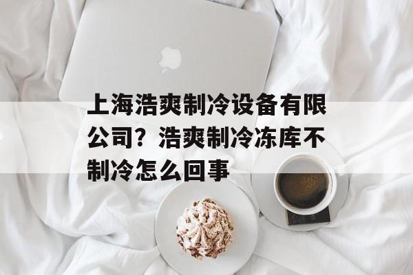 上海浩爽制冷设备有限公司？浩爽制冷冻库不制冷怎么回事-第1张图片-