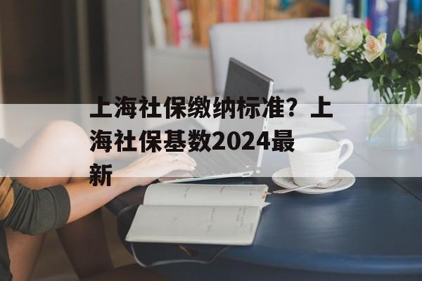 上海社保缴纳标准？上海社保基数2024最新-第1张图片-