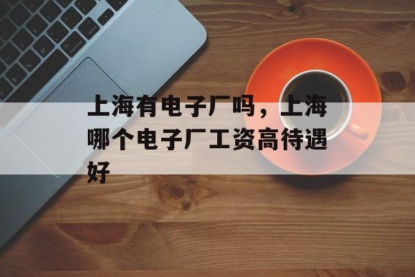 上海有电子厂吗，上海哪个电子厂工资高待遇好-第1张图片-
