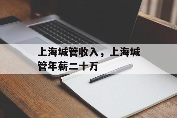 上海城管收入，上海城管年薪二十万-第1张图片-