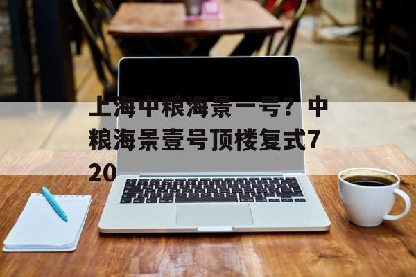 上海中粮海景一号？中粮海景壹号顶楼复式720-第1张图片-