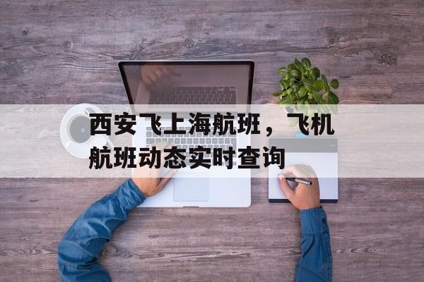 西安飞上海航班，飞机航班动态实时查询-第1张图片-