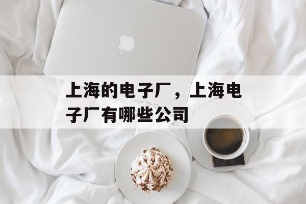 上海的电子厂，上海电子厂有哪些公司-第1张图片-