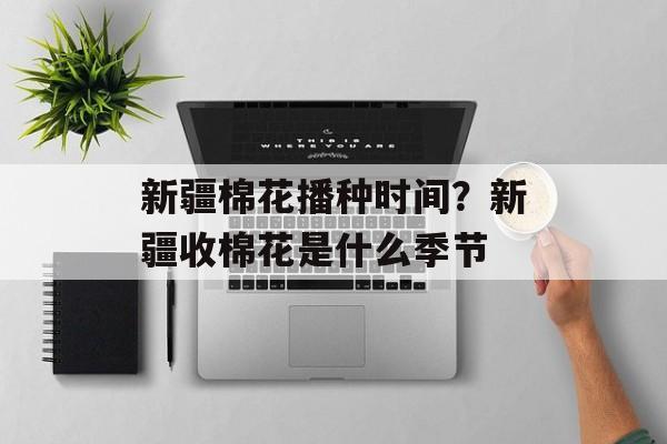 新疆棉花播种时间？新疆收棉花是什么季节-第1张图片-