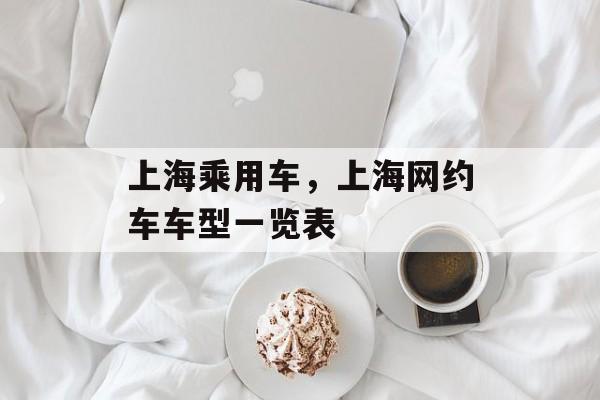上海乘用车，上海网约车车型一览表-第1张图片-