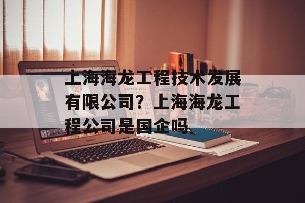 上海海龙工程技术发展有限公司？上海海龙工程公司是国企吗-第1张图片-