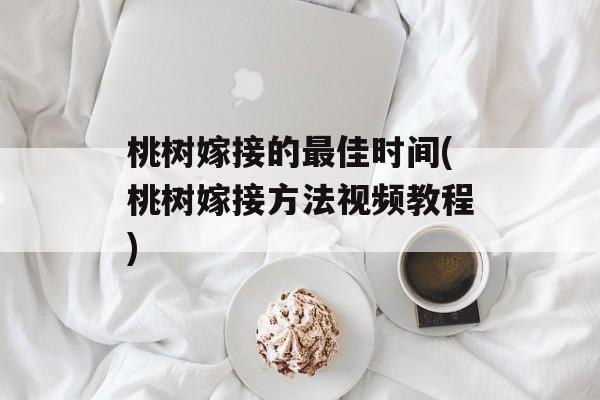 桃树嫁接的最佳时间(桃树嫁接方法视频教程)-第1张图片-
