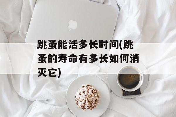 跳蚤能活多长时间(跳蚤的寿命有多长如何消灭它)-第1张图片-